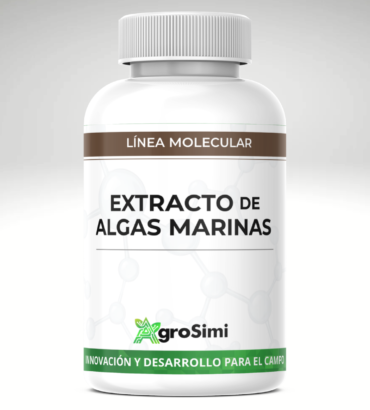 Algas Marinas (20%)
