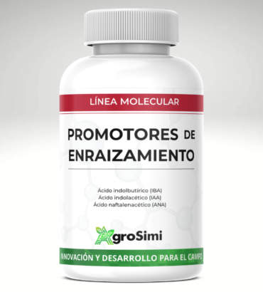 Promotor de Enraizamiento